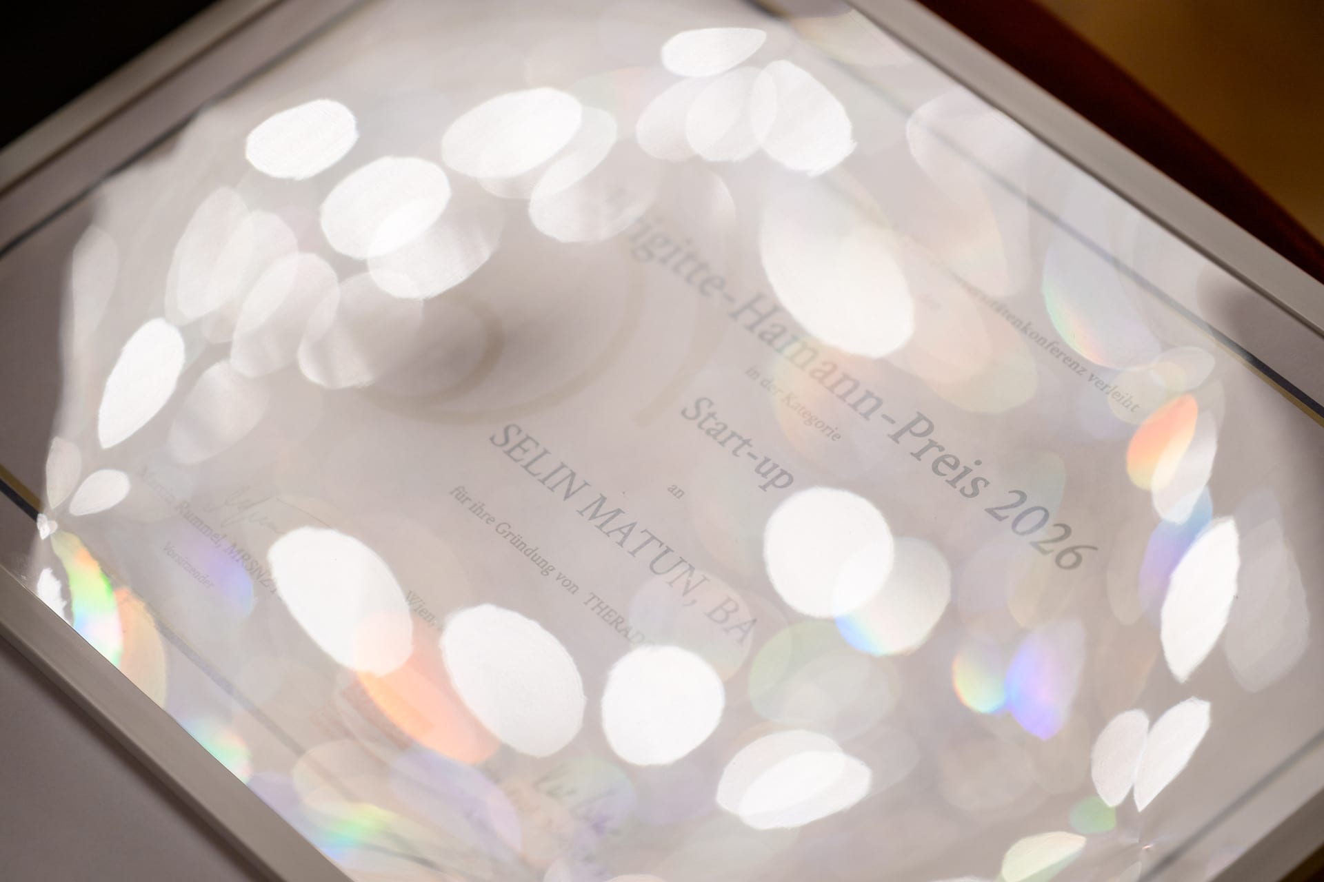 Theradocx gewinnt den ersten Brigitte-Hamann-Preis in der Kategorie Startup – Bild 9